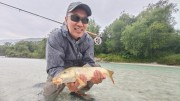 Barbel in the rain on the Soca in July